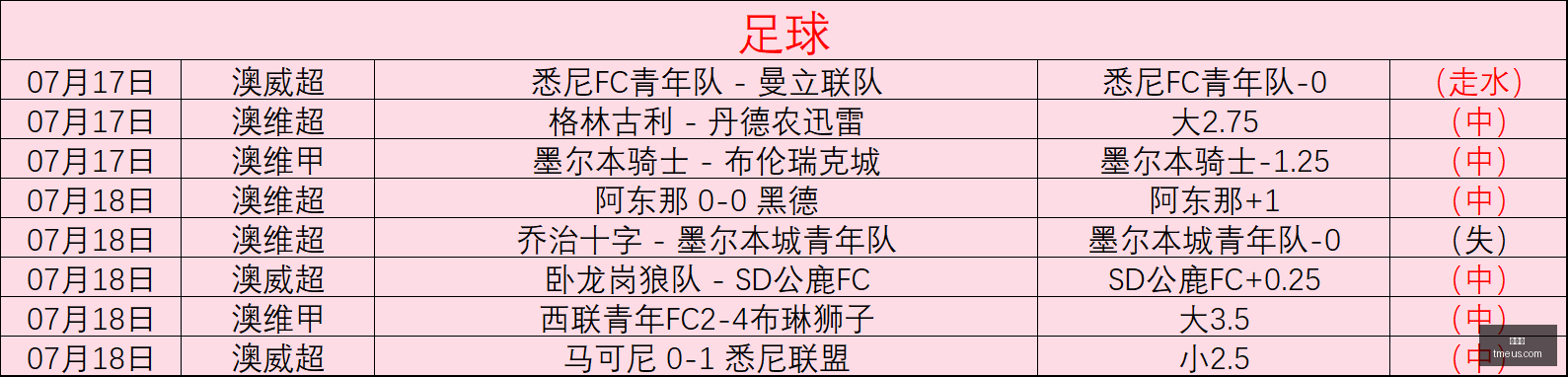 雅各布斯透,纽卡斯尔欲,签下多特蒙,世界杯,世界杯新闻,足球世界杯,世界杯赛程,世界杯直播,世界杯冠军,世界杯球队