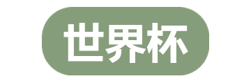 世界杯